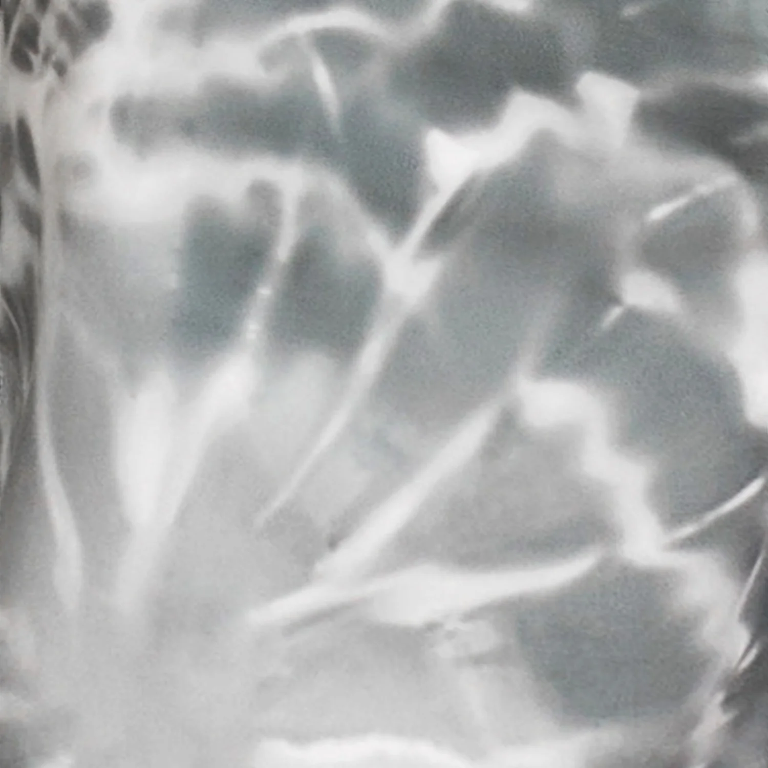 Speedo Printed Bondi Basin Boardshort 18" 7 Speedo Printed Bondi Basin Boardshort 18" - Image 5