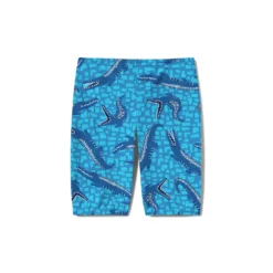 Speedo Boys Printed Jammer -Swimwear Collection Store 13894040 1035027574196980