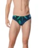 Speedo Reflected Brief -Swimwear Collection Store 13895384 6875004074682630