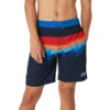 Speedo Above The Trees Bondi Basin Boardshort 20" 1 Speedo Above The Trees Bondi Basin Boardshort 20" -Swimwear Collection Store 13897796 4665052496412880