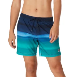 Speedo Printed Redondo Edge Volley 17"