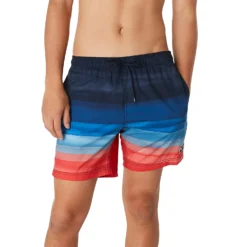 Speedo Horizon View Redondo Edge Volley 17"